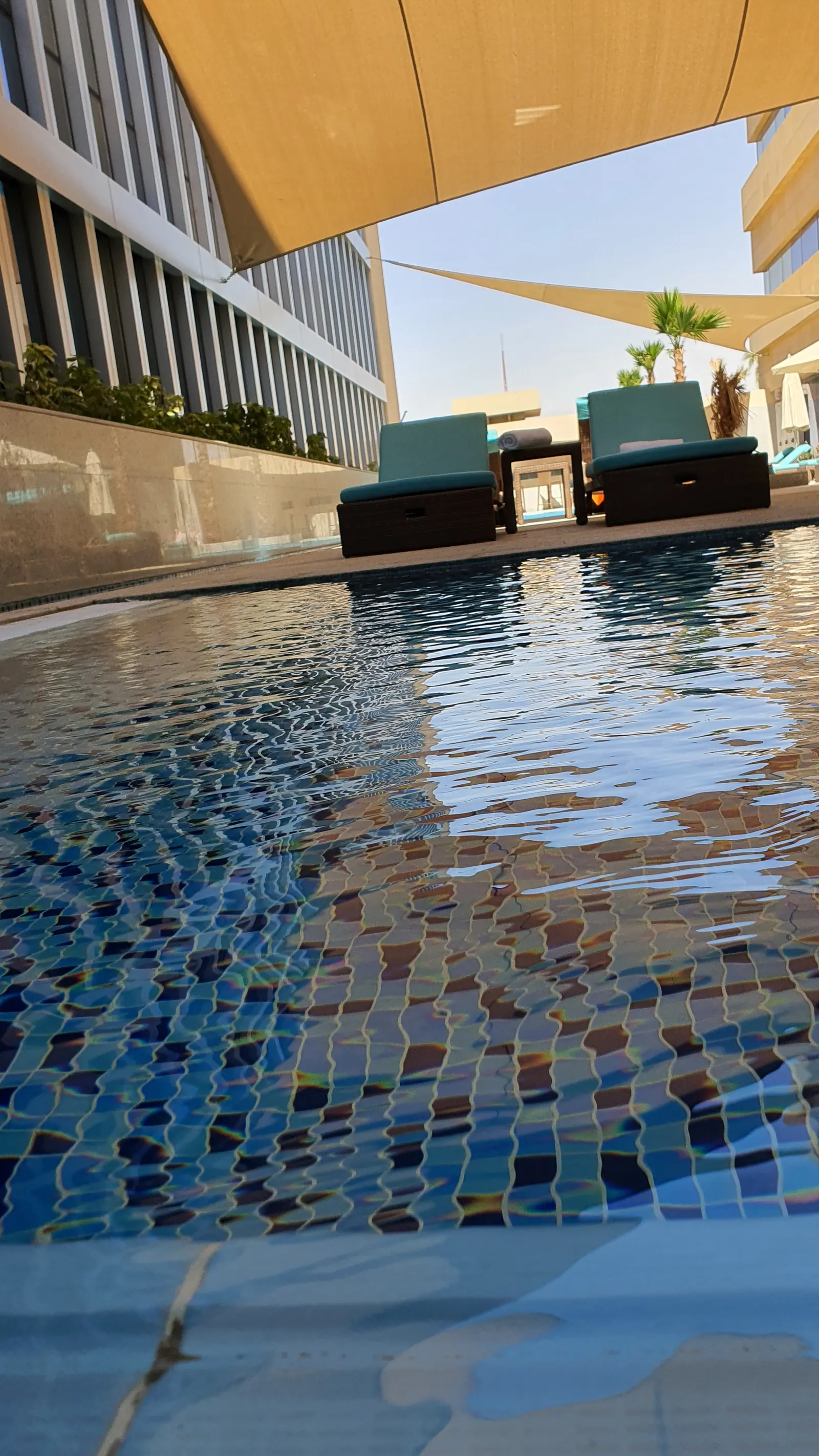 Mosaic pool under shade sails